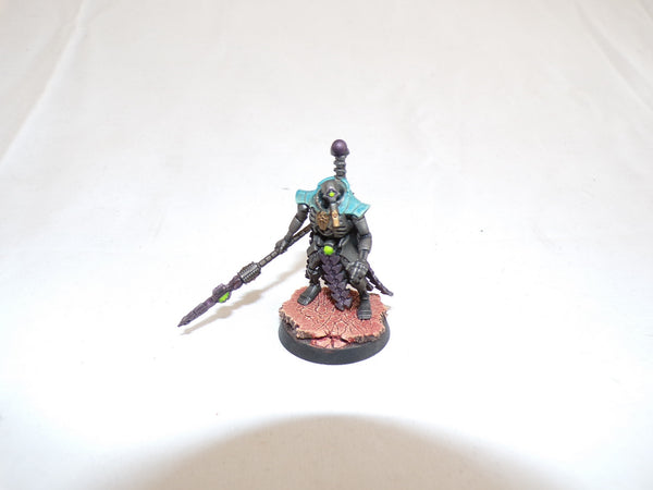 The Once and Future Kings Return