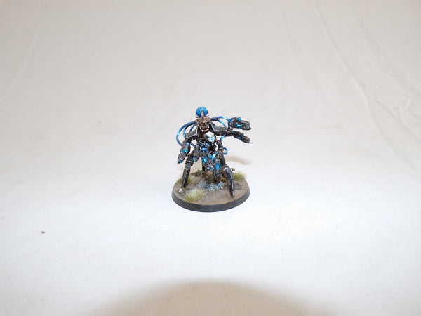 The Sephulchre Sleepers