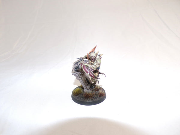 The Knights of New Summercourt