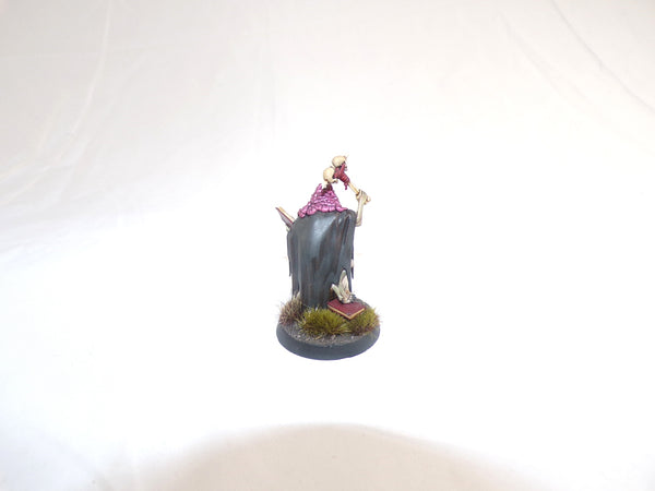 The Knights of New Summercourt