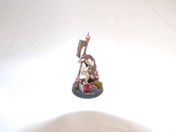 The Knights of New Summercourt