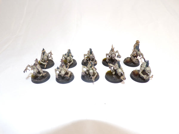 The Knights of New Summercourt