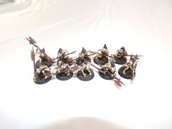 The Knights of New Summercourt