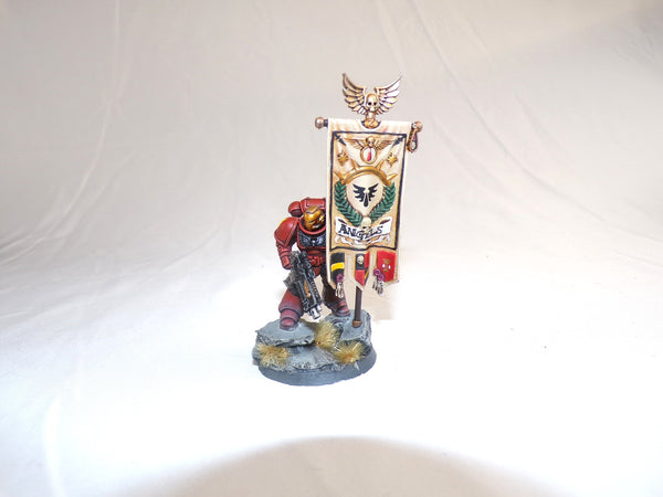 In the Shadow of Angelic Wings