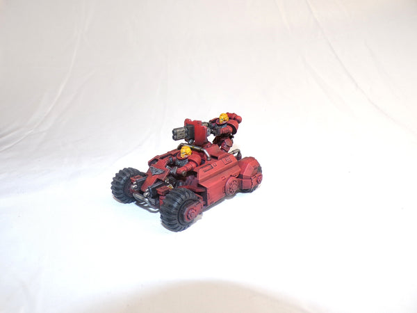 In the Shadow of Angelic Wings