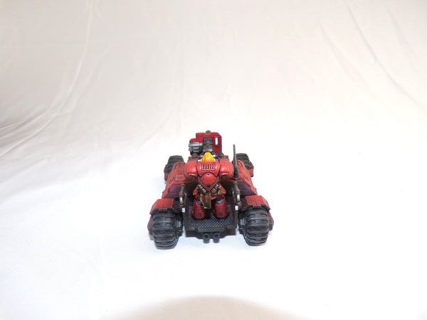 In the Shadow of Angelic Wings