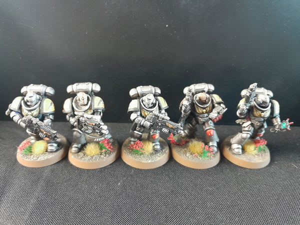 Liberators of Novaris