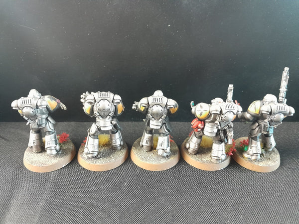 Liberators of Novaris