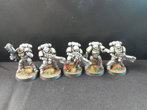 Liberators of Novaris