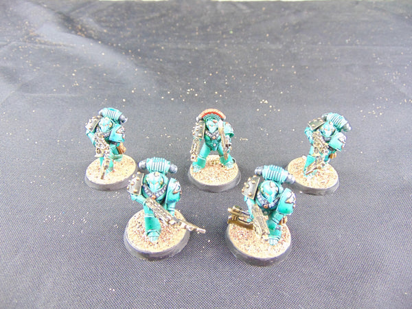Sons of Horus Insurgency Force
