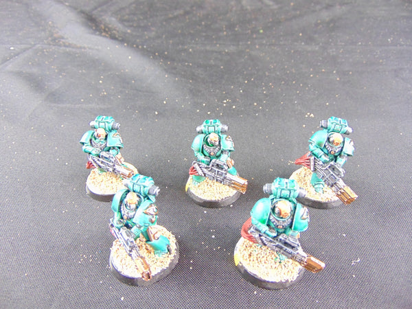 Sons of Horus Insurgency Force