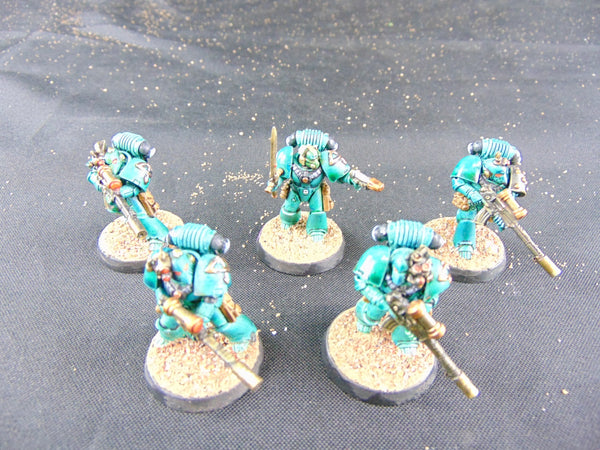 Sons of Horus Insurgency Force