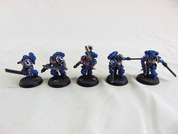 The Victrix Ascendant