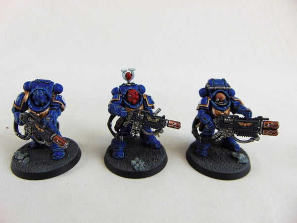 The Victrix Ascendant