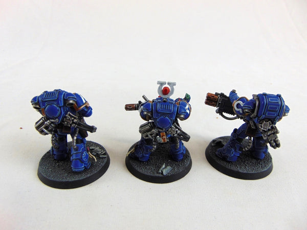 The Victrix Ascendant