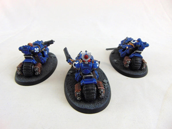 The Victrix Ascendant