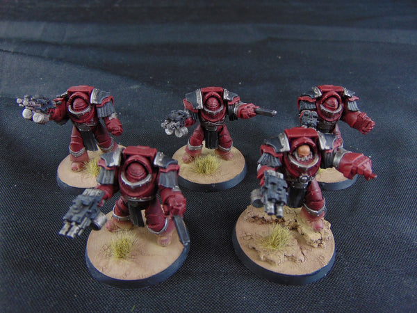 Disciples of the True Gods