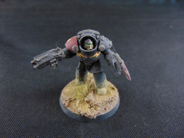 Disciples of the True Gods