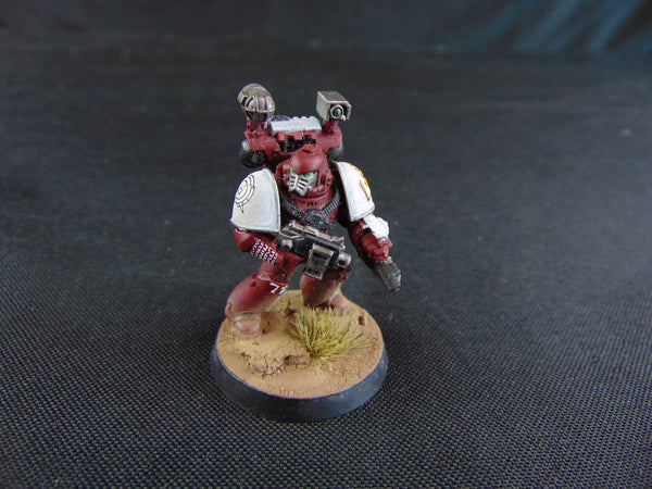 Disciples of the True Gods