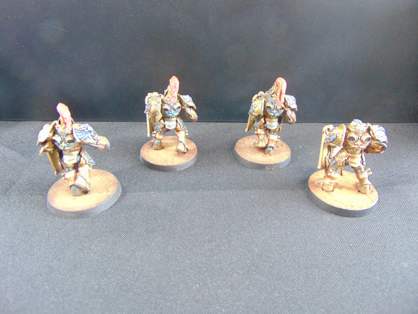 Guardians of the Golden Throne