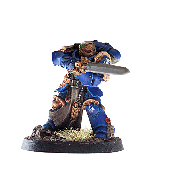 Primaris Company Champion