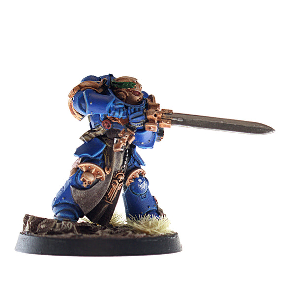 Primaris Company Champion