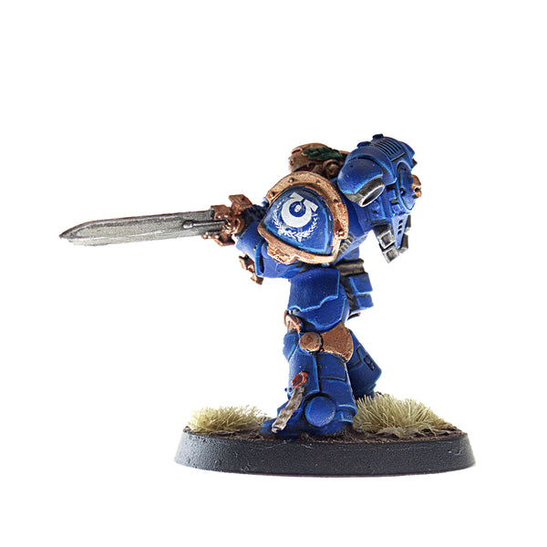 Primaris Company Champion