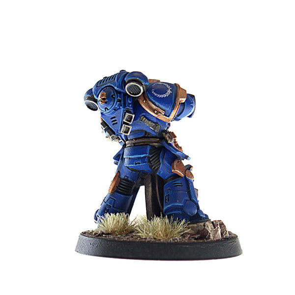 Primaris Company Champion