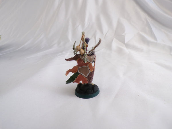 The Flesh Covens of Commorragh