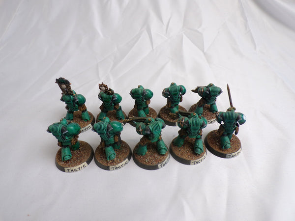 The Sons of the Fallen Star