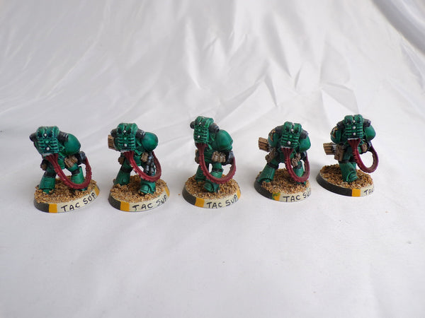 The Sons of the Fallen Star