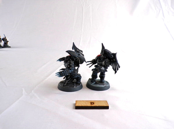 Shadow Captain Ascension