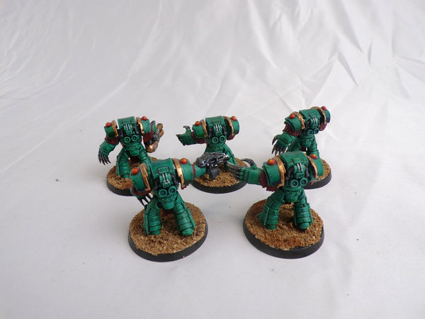 The Sons of the Fallen Star