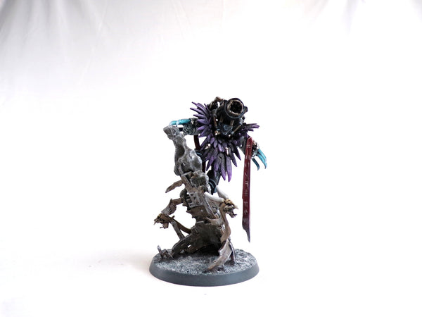 Shadow Captain Ascension