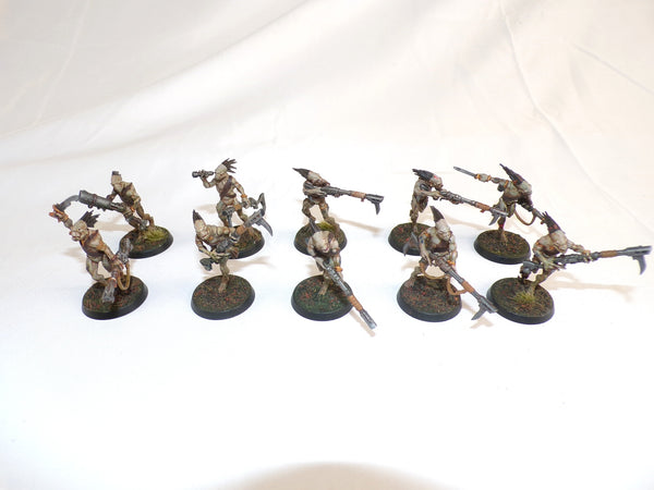 Who Let The Kroot Out?!