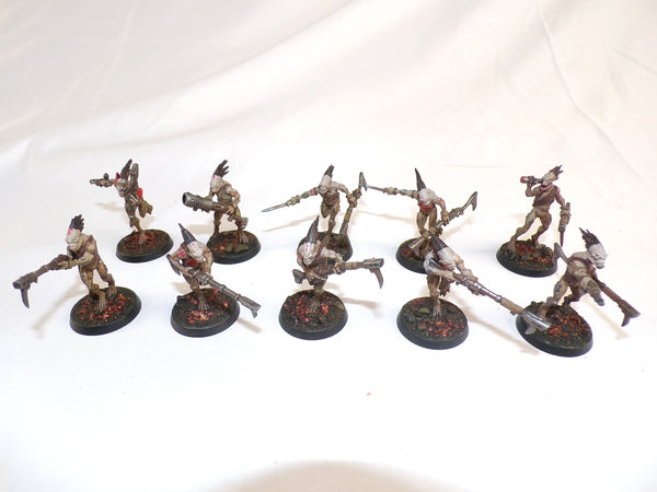 Who Let The Kroot Out?!