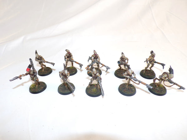 Who Let The Kroot Out?!
