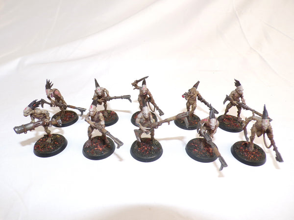 Who Let The Kroot Out?!