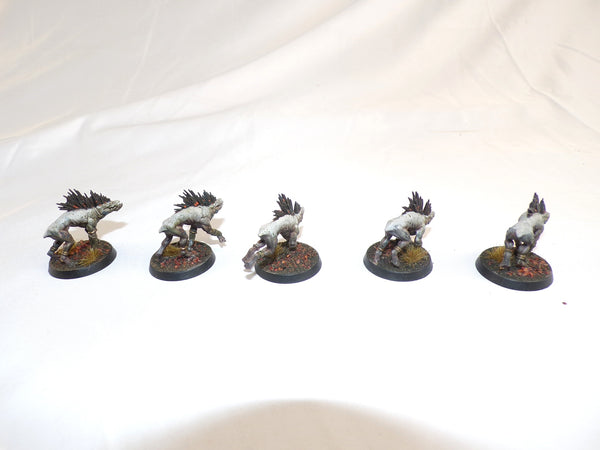 Who Let The Kroot Out?!