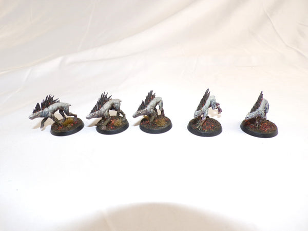 Who Let The Kroot Out?!