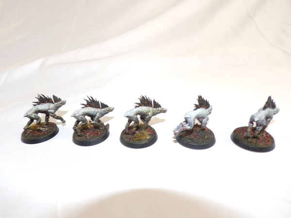 Who Let The Kroot Out?!
