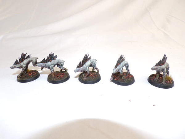 Who Let The Kroot Out?!
