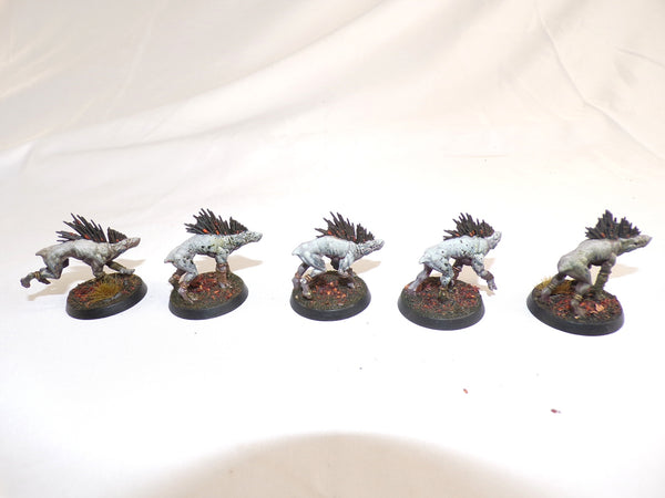 Who Let The Kroot Out?!