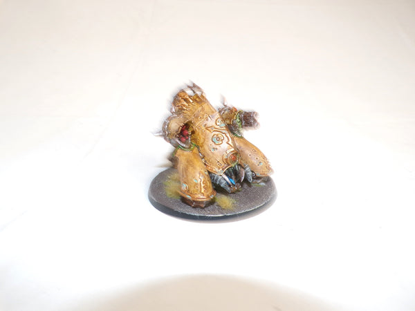 The Plague Chosen