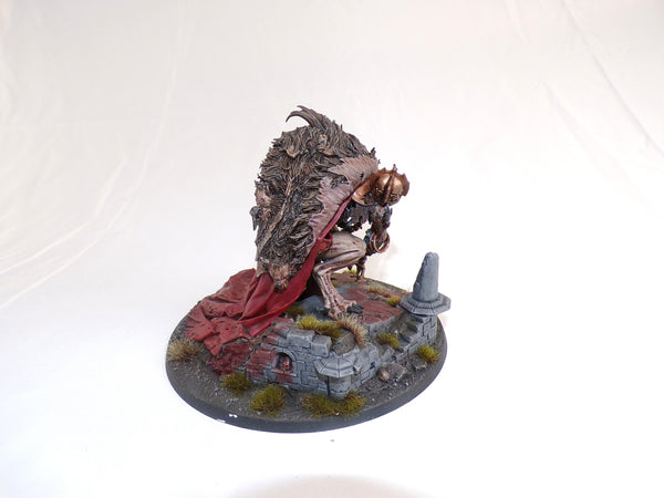 The Knights of New Summercourt