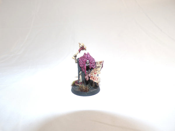 The Knights of New Summercourt