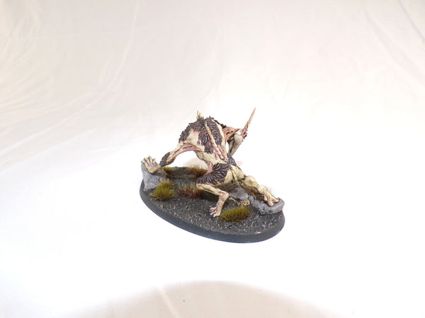 The Knights of New Summercourt