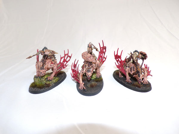 The Knights of New Summercourt