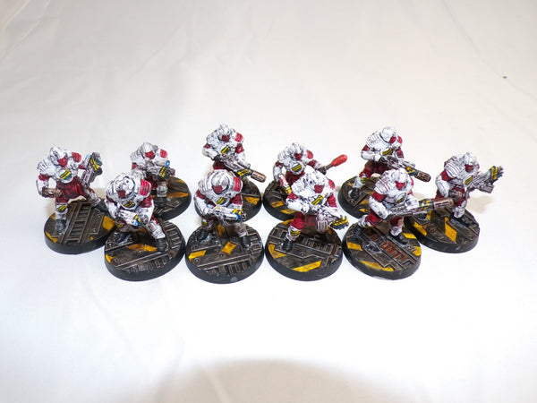 The Faithful of the Hive