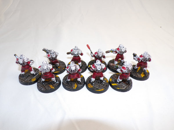 The Faithful of the Hive